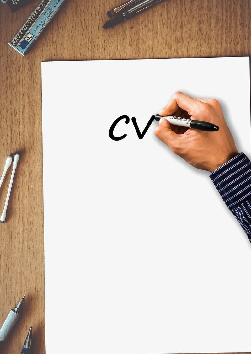 CV Writing